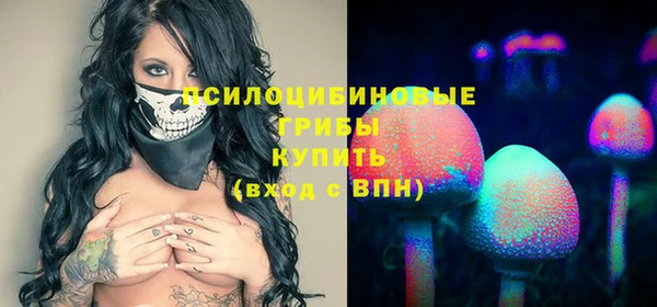 кокс Арсеньев