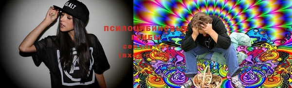 кокс Арсеньев